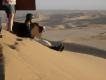 PLAYGAME IN THE DESERT